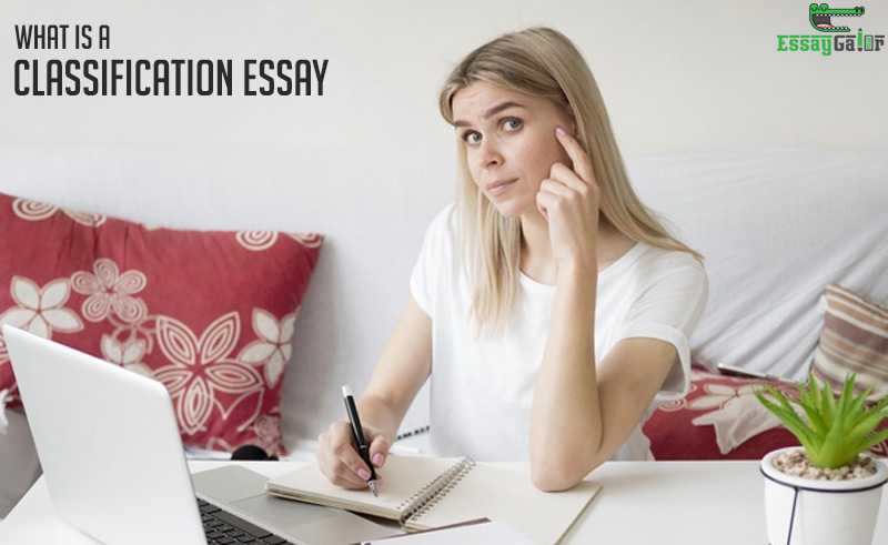 What are the classification of essay